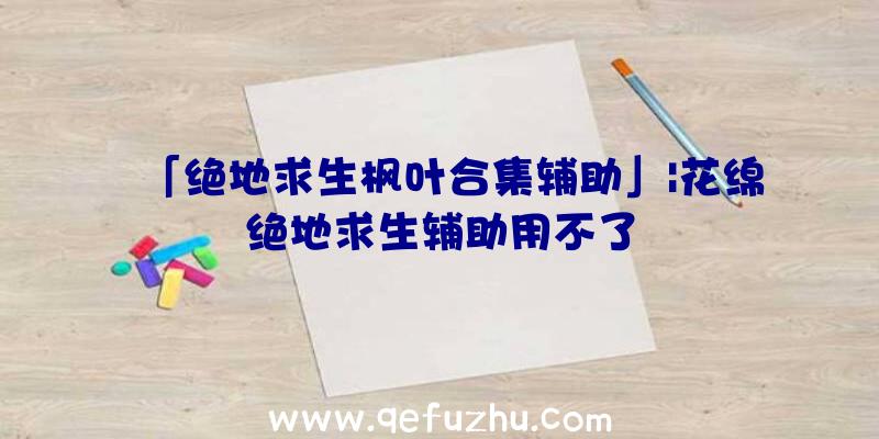 「绝地求生枫叶合集辅助」|花绵绝地求生辅助用不了